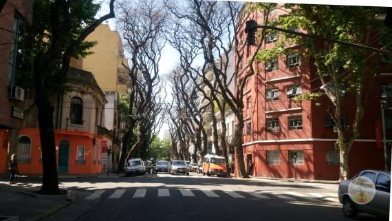 dica-de-hotel-em-buenos-aires-palermo-bairro-1 Dica de hotel em Buenos Aires - Palermo 