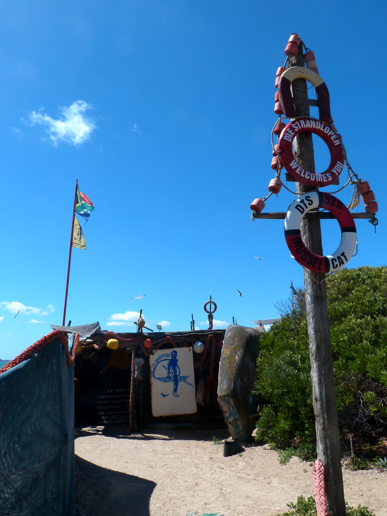Roteiro Cidade do Cabo 4 a 7 dias die strandloper langbaan praia