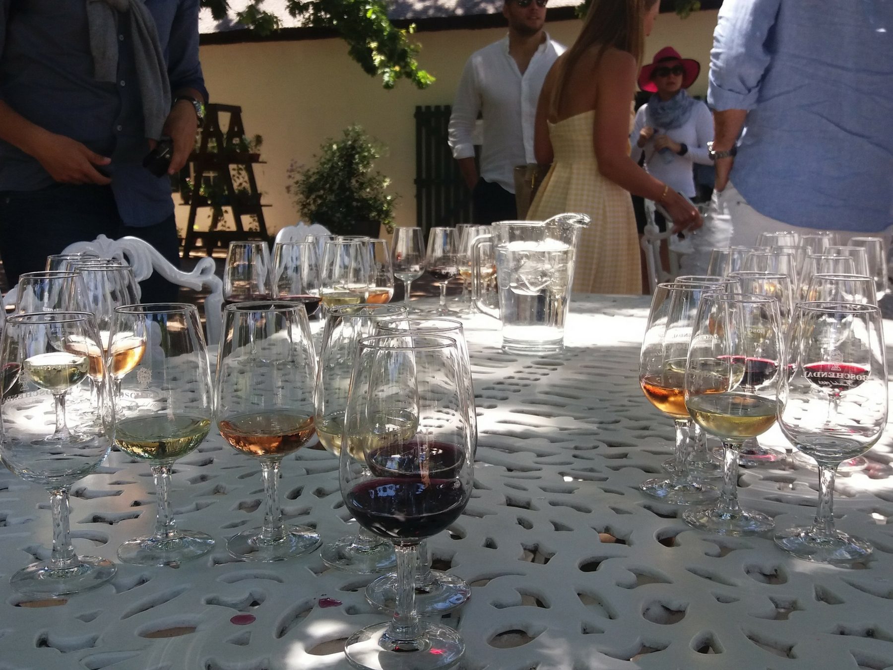 Rota dos vinhos em Cape Town Stellenbosch e Franschhoek boschendal 2