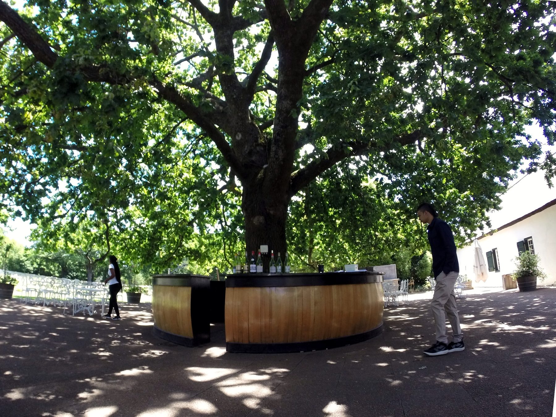 Rota dos vinhos em Cape Town Stellenbosch e Franschhoek boschendal 3