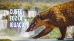 quanto-custa-viajar-para-foz-do-iguacu-150x84 Países menos afetados pela pandemia: turismo 2021  