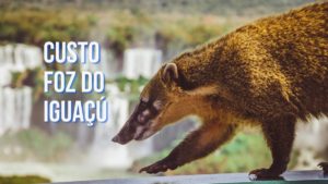 quanto-custa-viajar-para-foz-do-iguacu-300x169 Custo da viagem Foz do Iguaçú em 5 dias de roteiro!