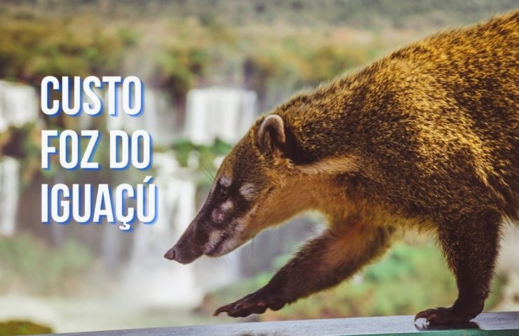 quanto-custa-viajar-para-foz-do-iguacu-740x480 Custo da viagem Foz do Iguaçú em 5 dias de roteiro!