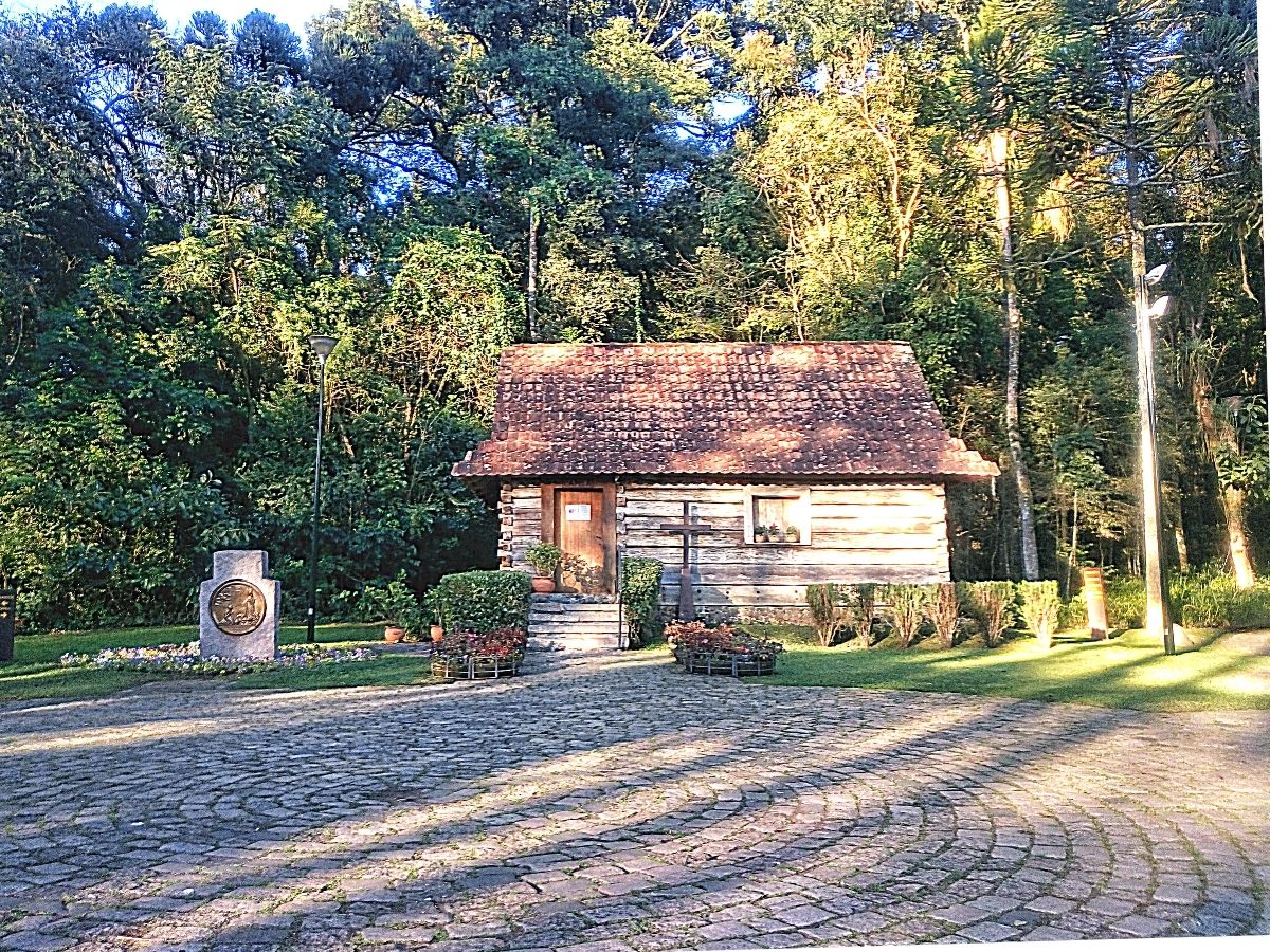 melhores-parques-de-Curitiba-bosque-do-papa Os melhores parques de Curitiba (top 15) 